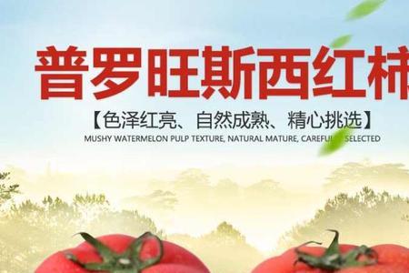普罗旺斯西红柿种子是如何来