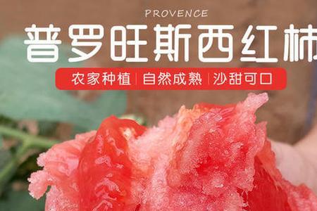 普罗旺斯西红柿为什么不饱满