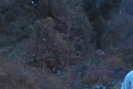 将夜2河明池结局