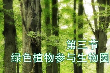 哪些植物为人类贡献一生