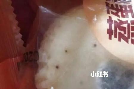 拼多多买的面包发霉怎么处理