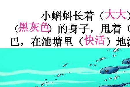 小蝌蚪找妈妈课后四个动词造句