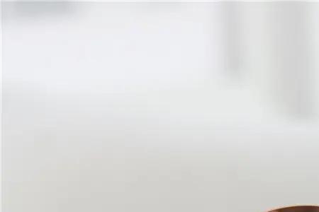 oruss手表是什么牌子