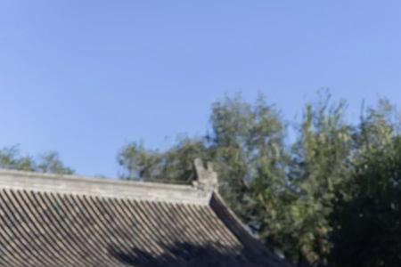 罗衣飘飘什么意思