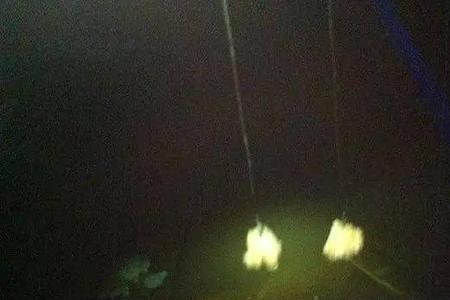 夏季夜钓最怕三种饵