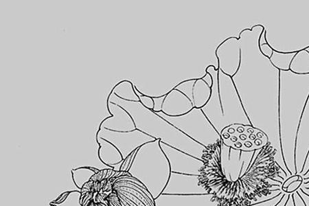 白描工笔区别