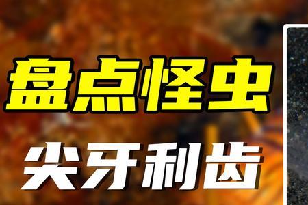 海底虫咋吃