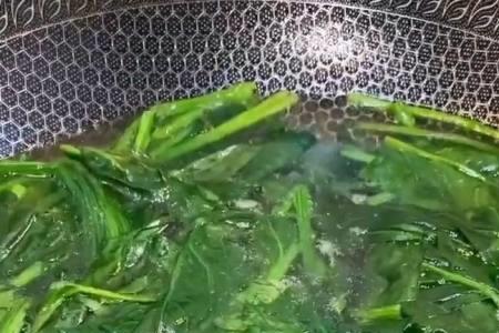 干菠菜什么意思