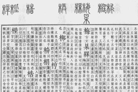 梁的首字母是什么