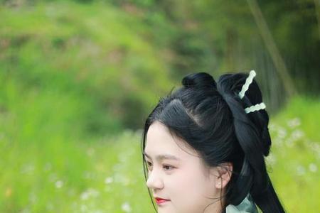 朱颜未改风采依旧诗句