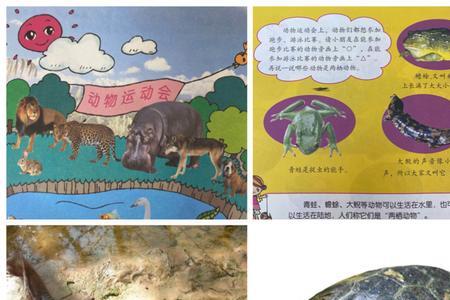 乌龟背青蛙什么意思