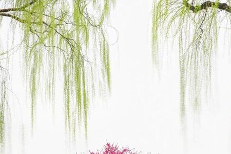 柳绿对花红还是柳绿对桃红