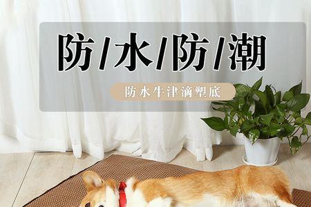 猫咪冰垫真的有降温效果吗