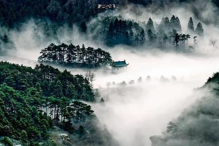 庐山上为什么没有蚊子