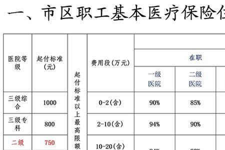 河南省大额医疗保险缴费标准