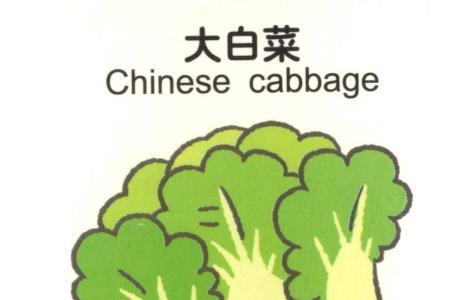 蓝绿色蔬菜简笔画