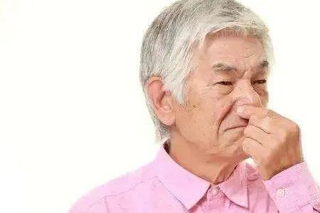敏锐的嗅觉什么意思