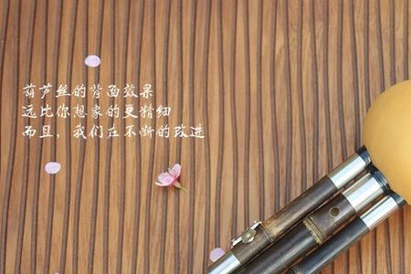 葫芦丝哪个品牌的好