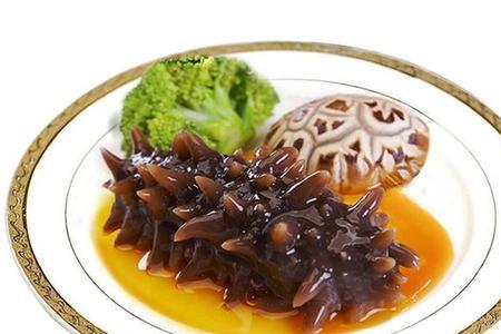 圆海参的做法