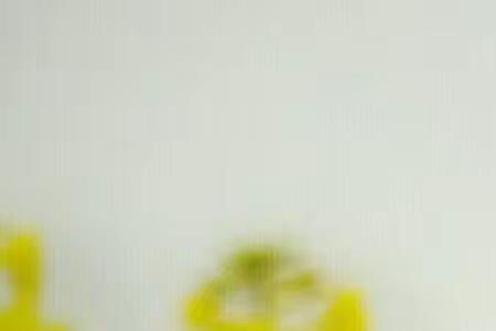 小油菜和花王的区别