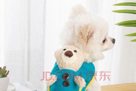 猫咪的衣服尺码表