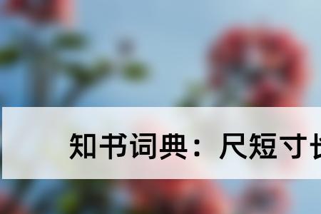 各有所长各有所短的意思