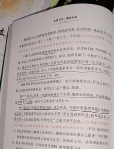 汤姆索亚历险记第十八章好词