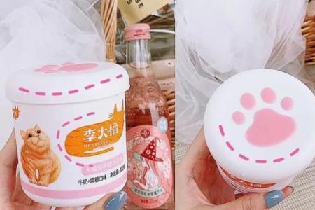 猫可以吃少量的可可粉吗