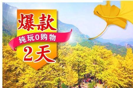 湖南永州适合种金秋吗
