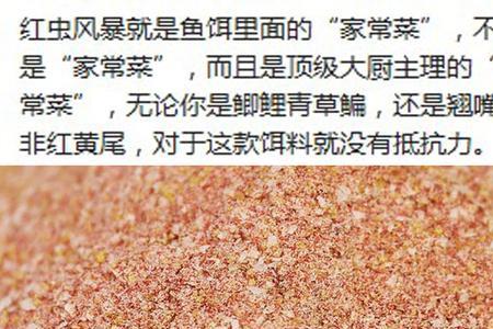 全能香可以加红虫风暴么