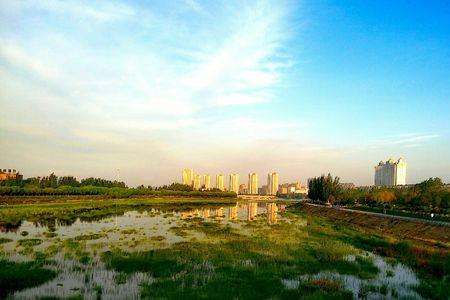 辽宁阜新顺口溜