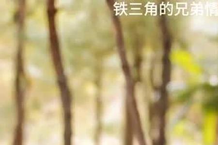 希望是温柔的小哥一枚什么梗