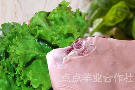 羊肉皮怎么处理