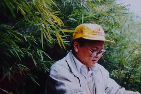 筇竹修剪方法