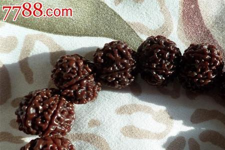 小金刚菩提要盘多久