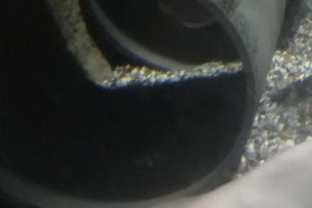 淡水鲨鱼有几种