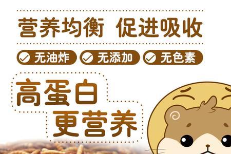 豚鼠吃面包虫吗
