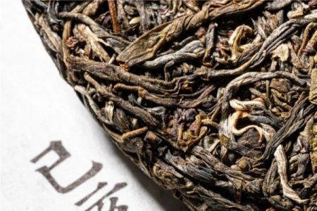 陈化普洱生茶属于什么茶