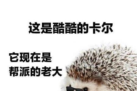 遛是什么梗