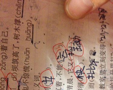 绸的反义词