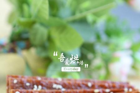 绝味猪肉脯的做法