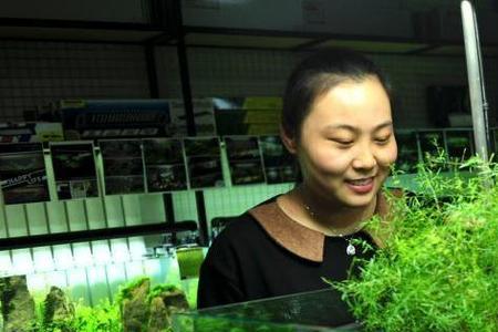 养好的绿水能加到鱼缸里吗