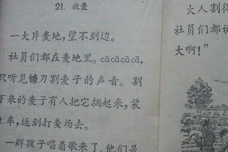 语文课本中的口吻是什么意思