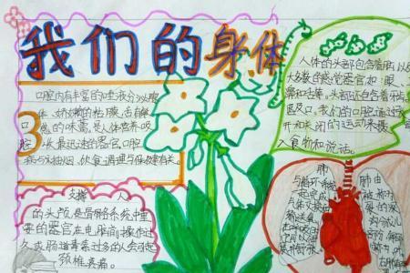 有关手的名称