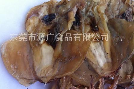 北海墨鱼是淡水还是咸水墨鱼