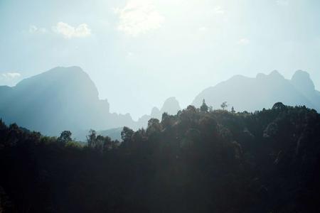 山悠悠是什么意思