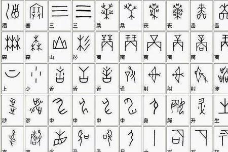 张字的甲骨文和金文怎么写