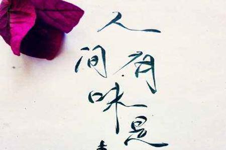 梦里清欢什么意思