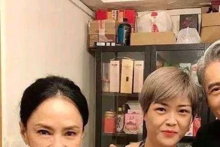 白发苍苍风采依旧的诗句