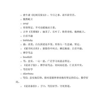心怀梦想的成语